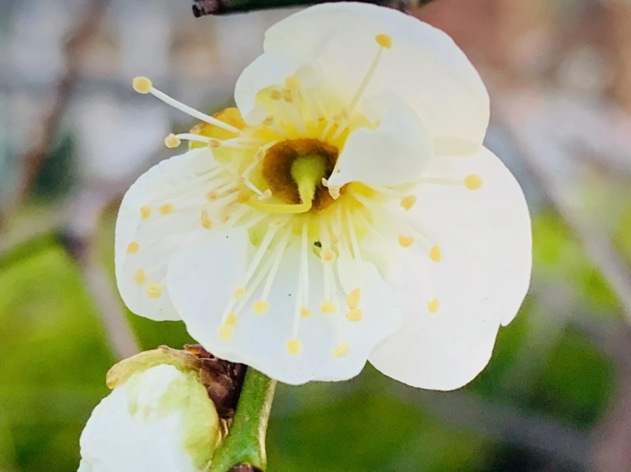 IMG_2370.jpg?type=w966