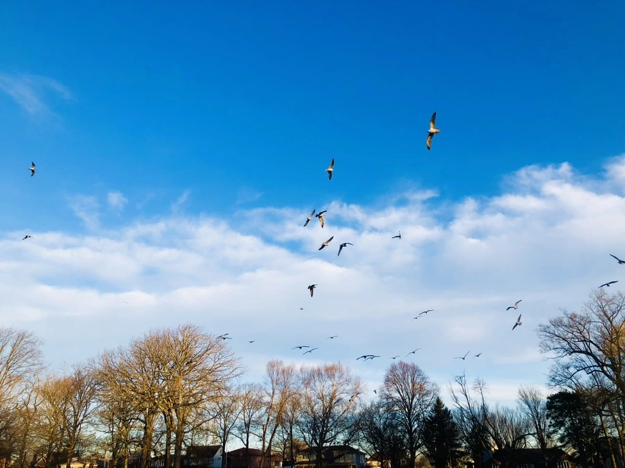 IMG_0850.jpg?type=w966