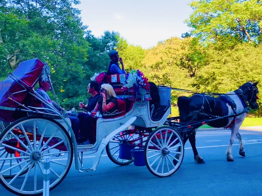 IMG_7608.jpg?type=w966