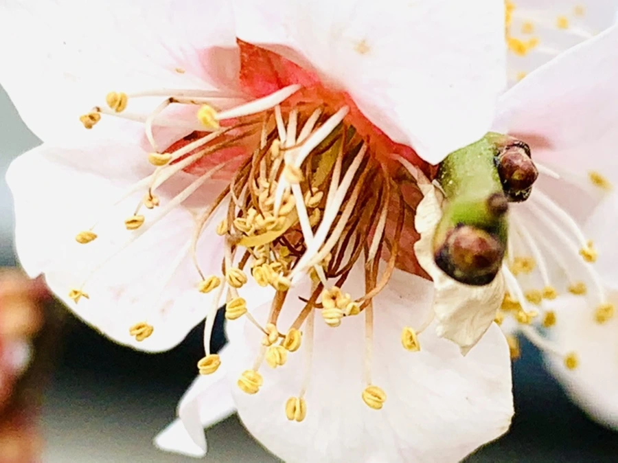 IMG_3613.jpg?type=w966