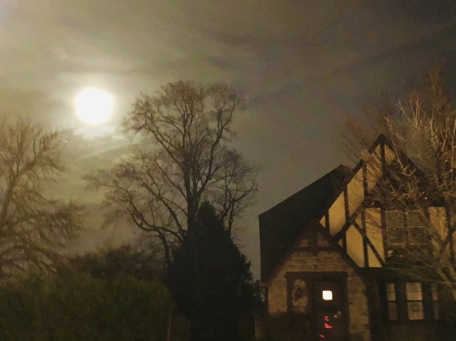 IMG_8577.jpg?type=w966