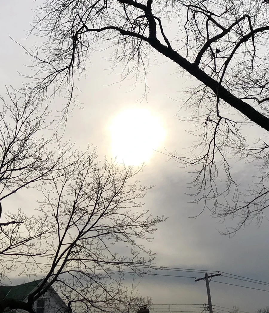 IMG_2187.jpg?type=w966