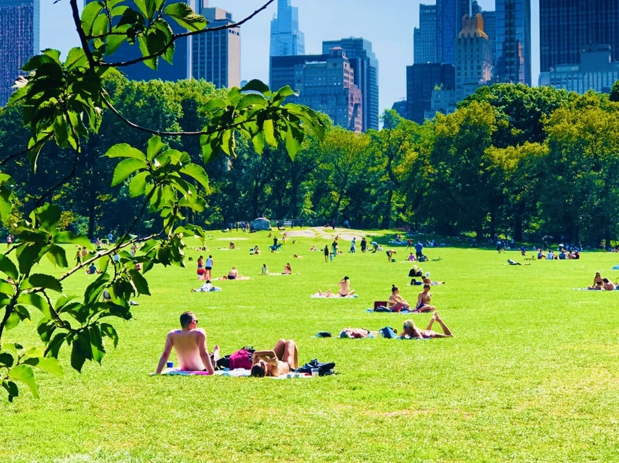 IMG_9354.jpg?type=w966