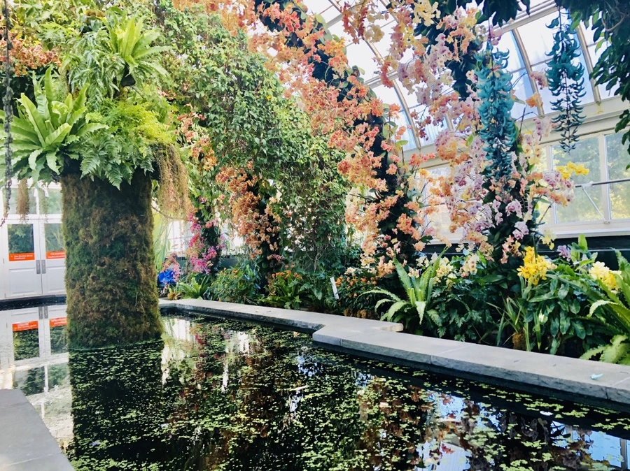 IMG_6275.jpg?type=w966