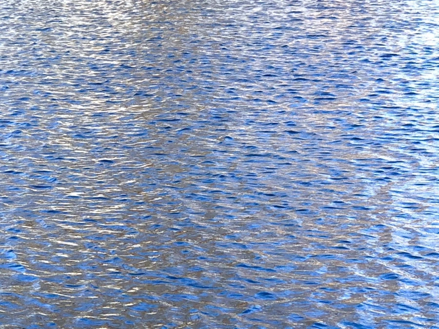 IMG_3791.jpg?type=w966