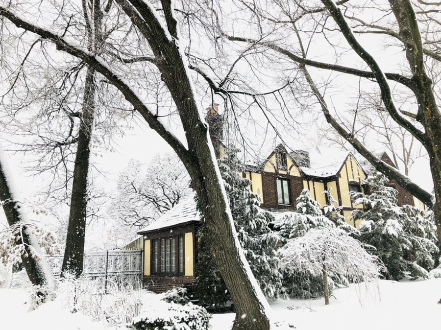 IMG_1003.jpg?type=w966