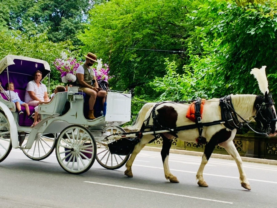 IMG_1559.jpg?type=w966