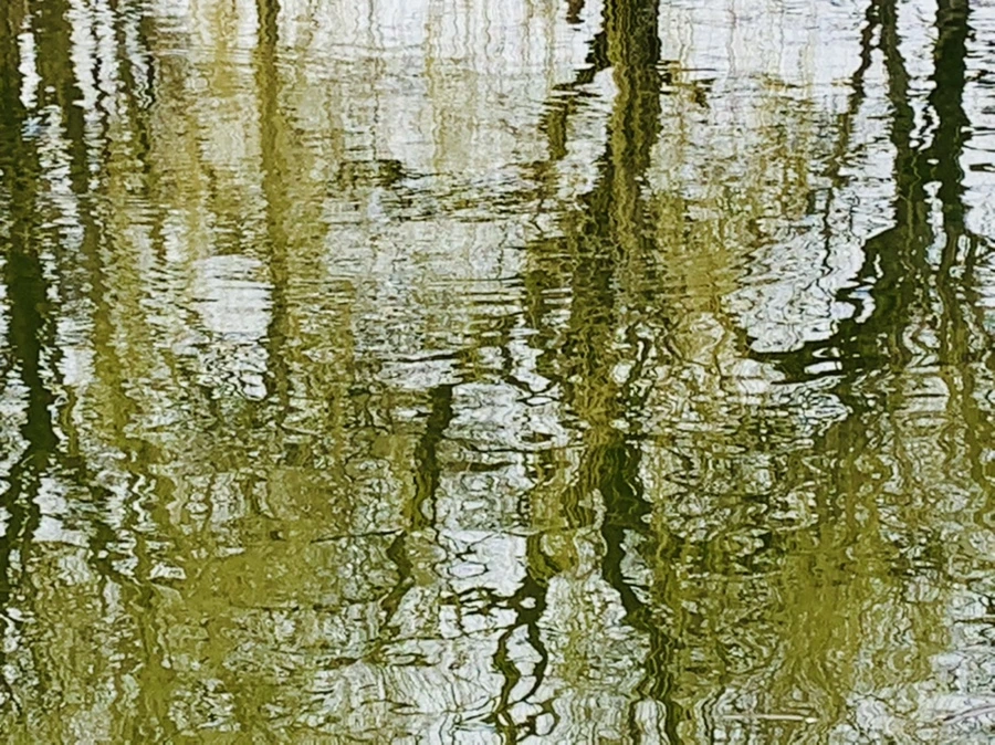 IMG_3829.jpg?type=w966