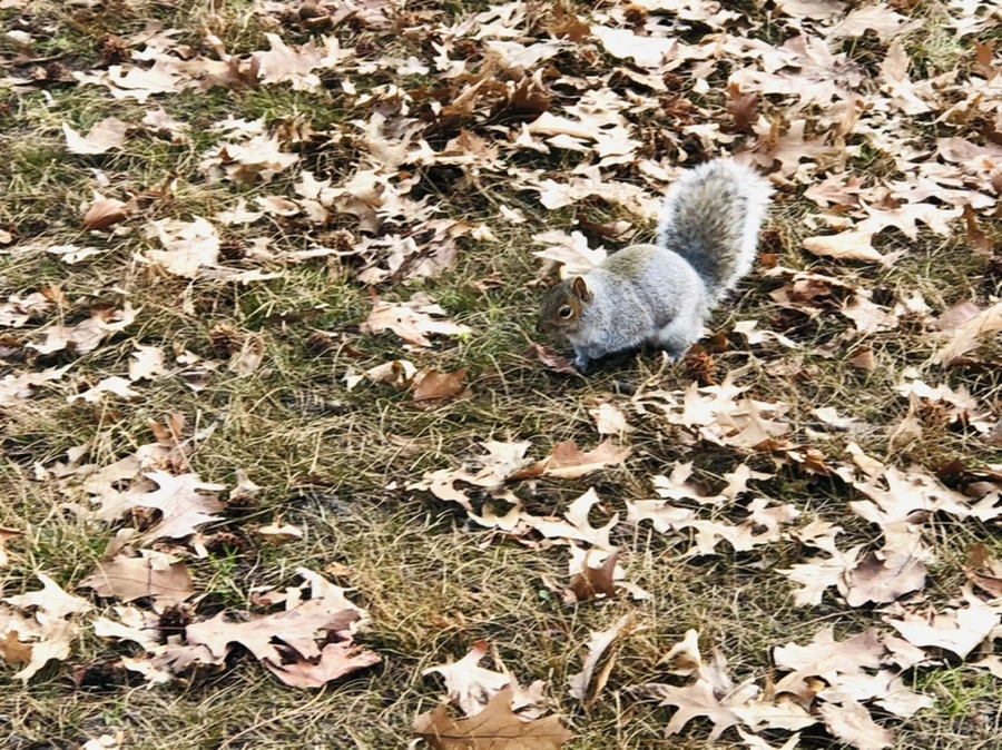 IMG_9928.jpg?type=w966