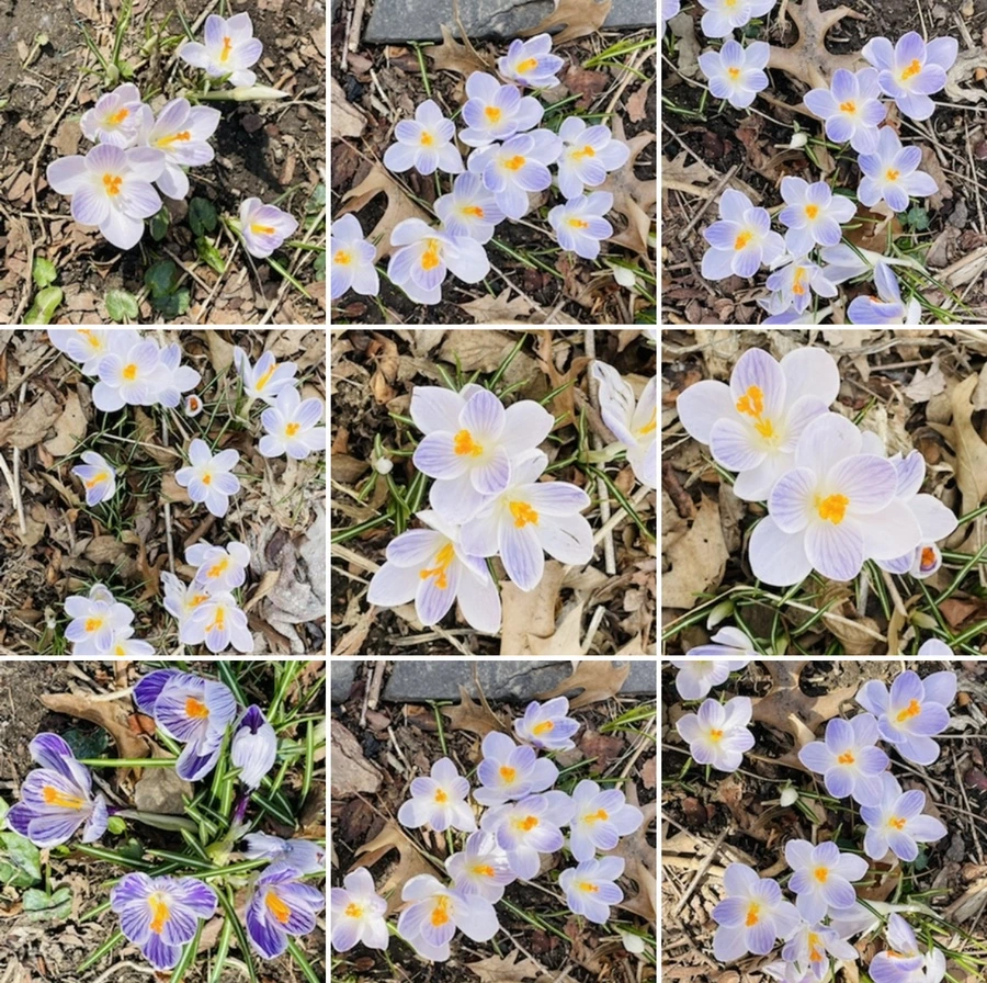 IMG_5179.jpg?type=w966