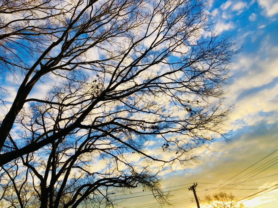 IMG_4860.jpg?type=w966