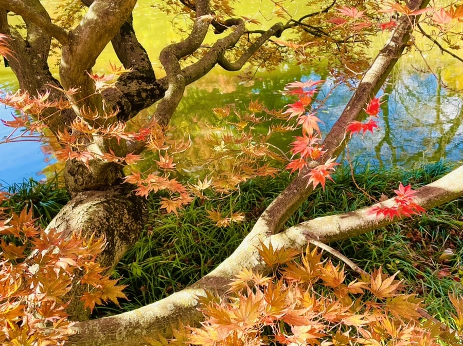 IMG_3058.jpg?type=w966