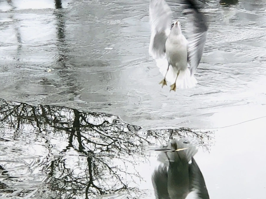 IMG_8957.jpg?type=w966