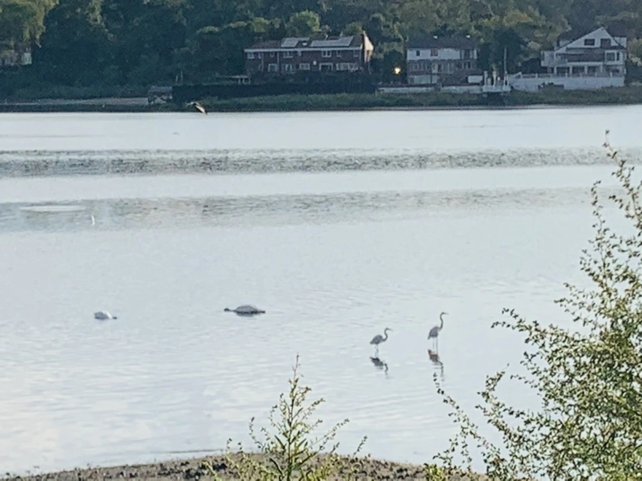 IMG_7798.jpg?type=w966