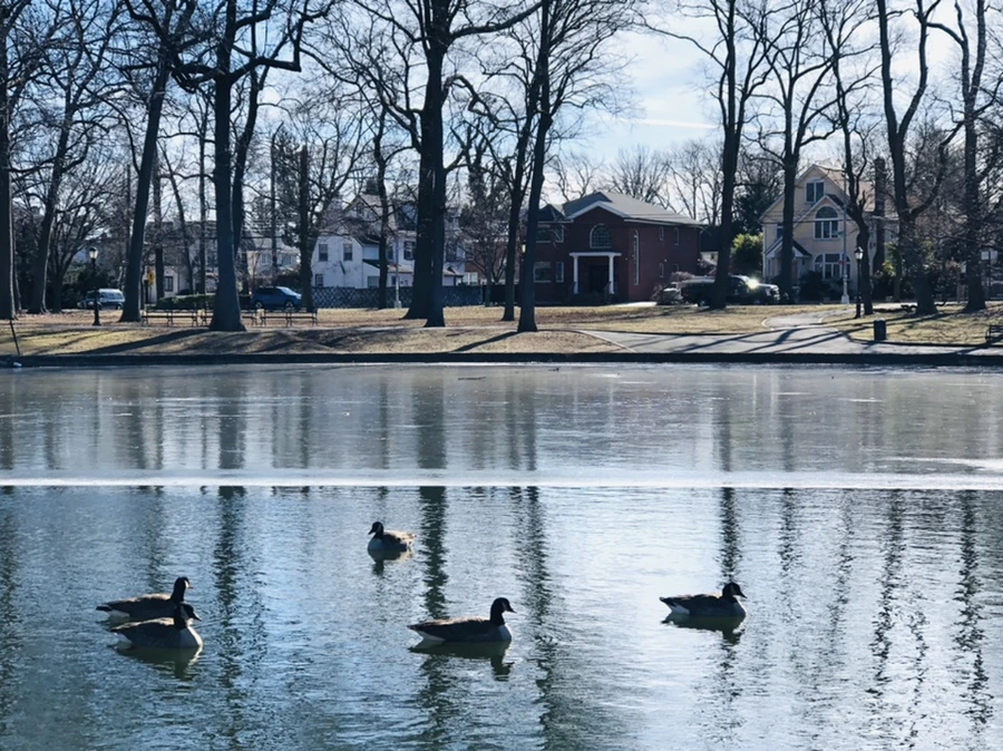 IMG_5519.jpg?type=w966