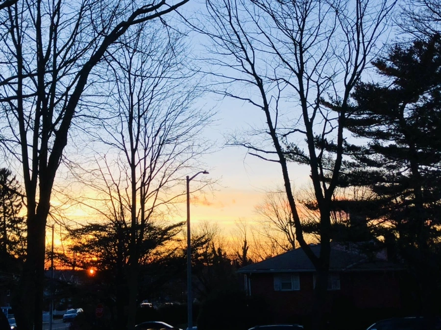 IMG_4598.jpg?type=w966