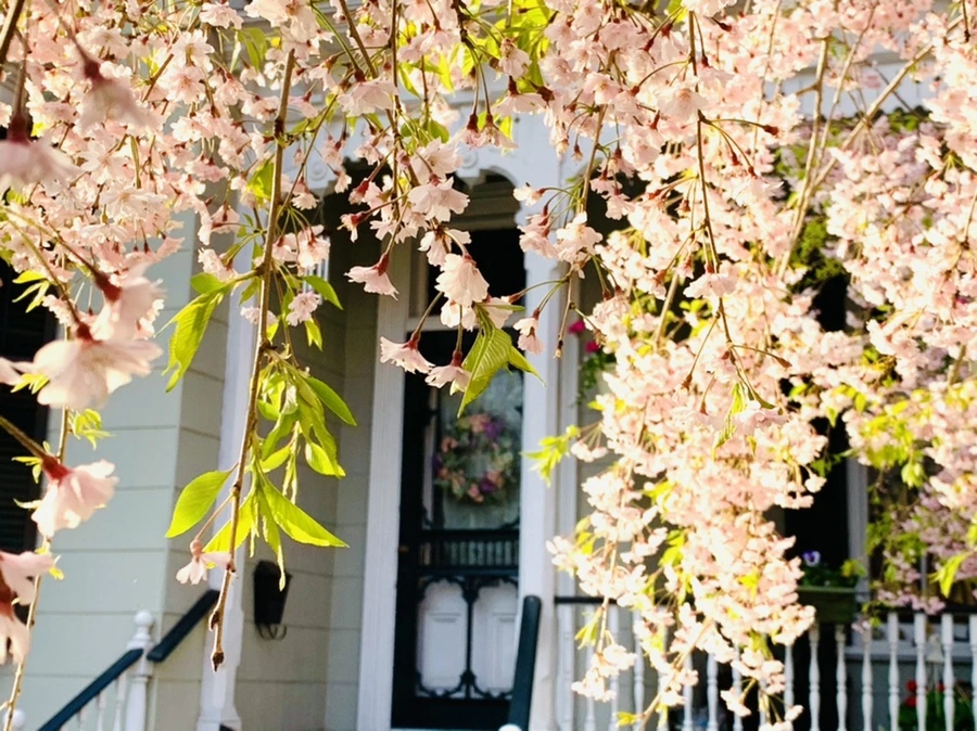 IMG_3684.jpg?type=w966