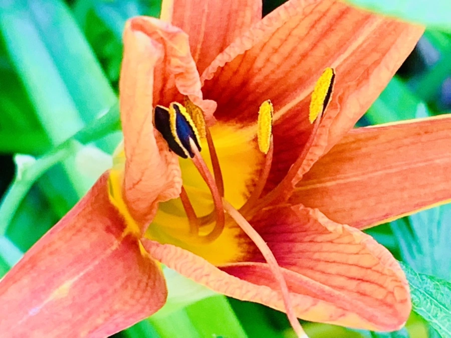 IMG_4877.jpg?type=w966