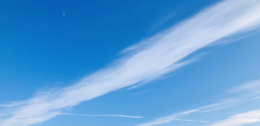 IMG_4828.jpg?type=w966