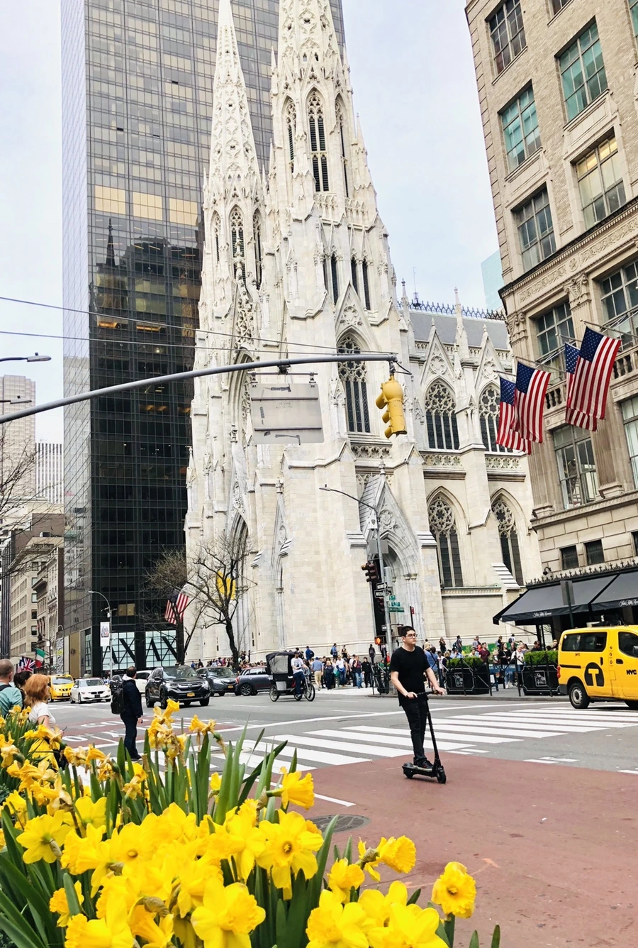 IMG_3223.jpg?type=w966