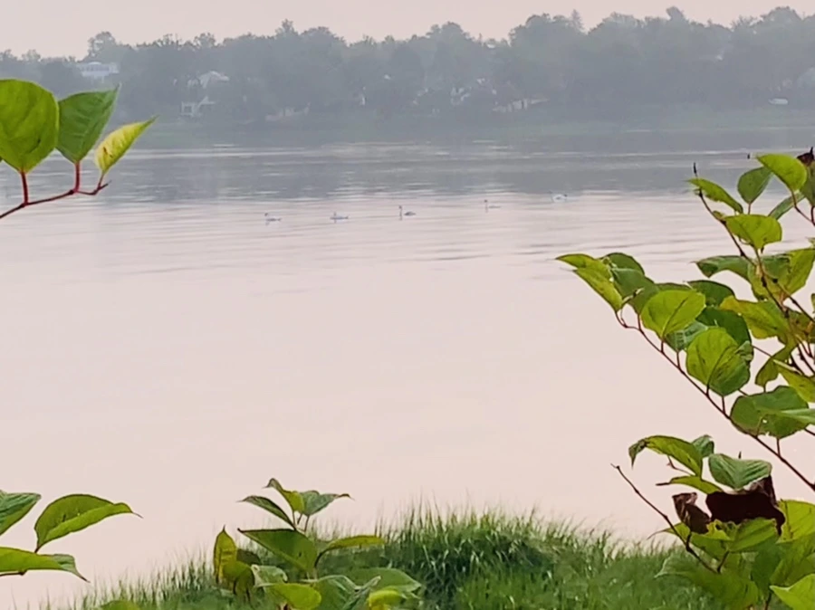 IMG_8562.jpg?type=w966