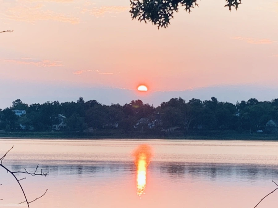 IMG_4655.jpg?type=w966