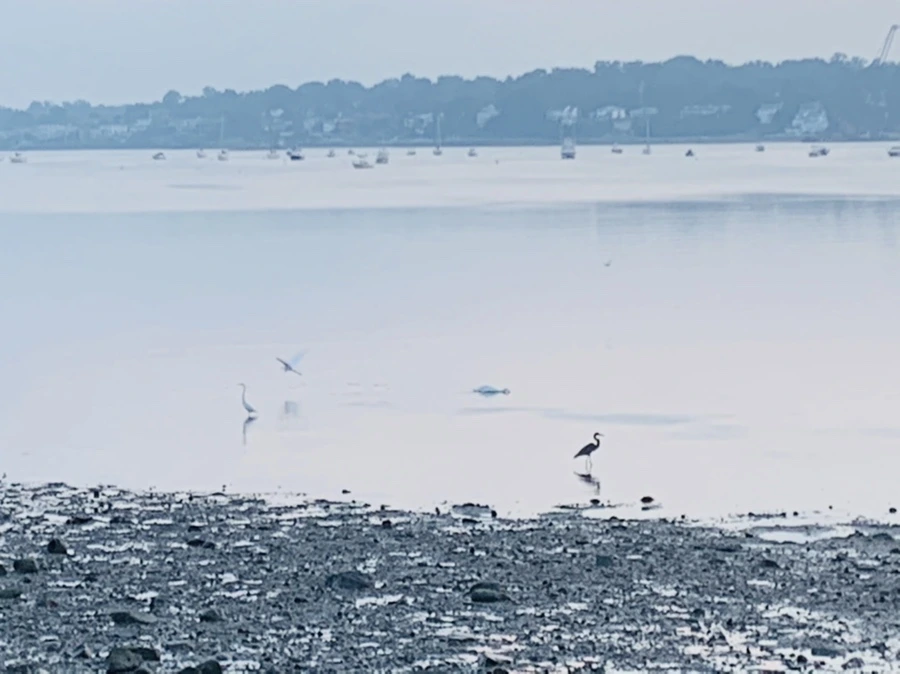 IMG_8169.jpg?type=w966