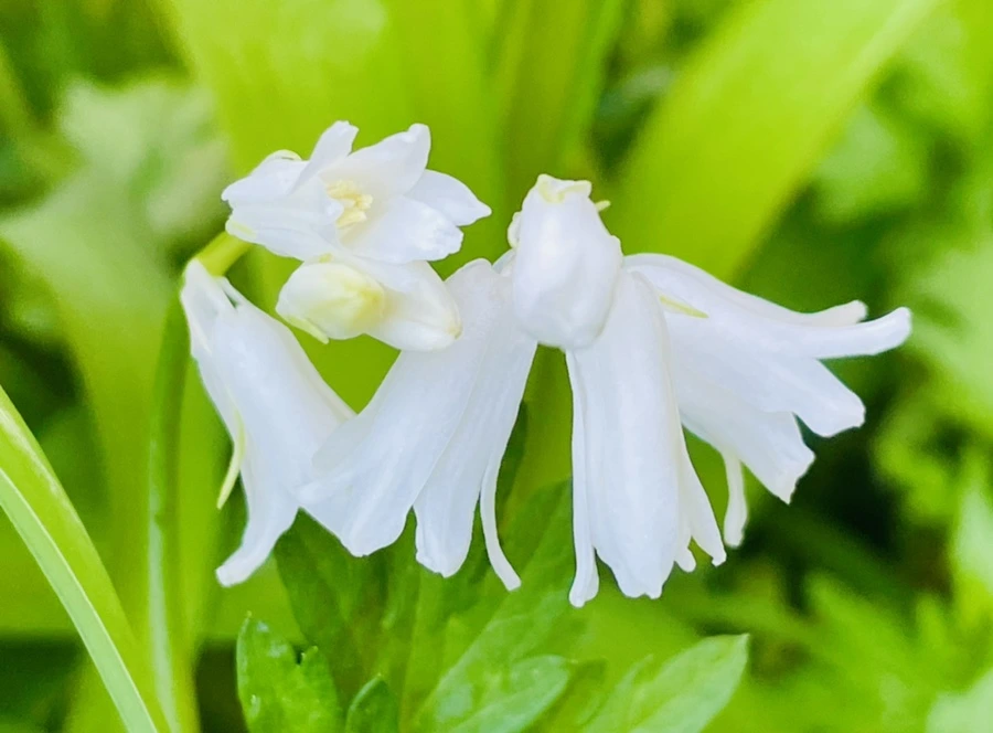 IMG_0578.jpg?type=w966