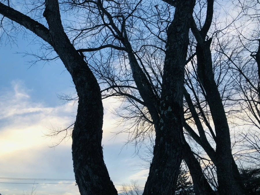 IMG_2655.jpg?type=w966