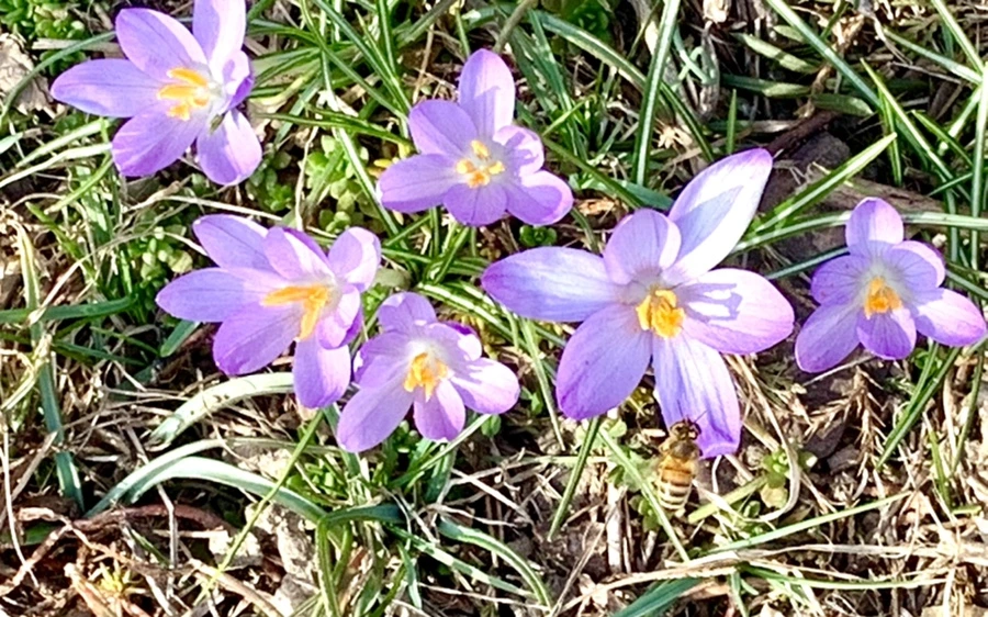 IMG_0226.jpg?type=w966