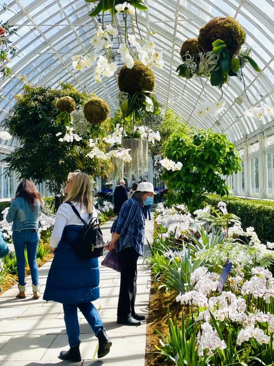 IMG_6520.jpg?type=w966