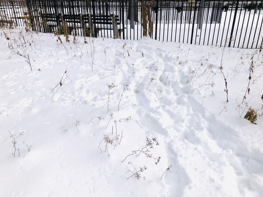 IMG_7270.jpg?type=w966