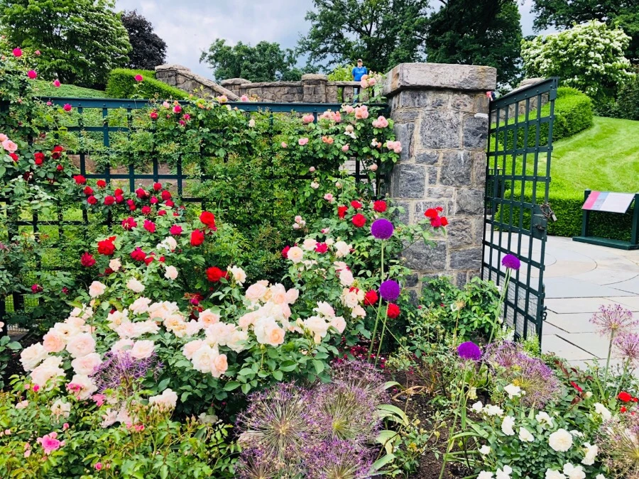 IMG_7223.jpg?type=w966