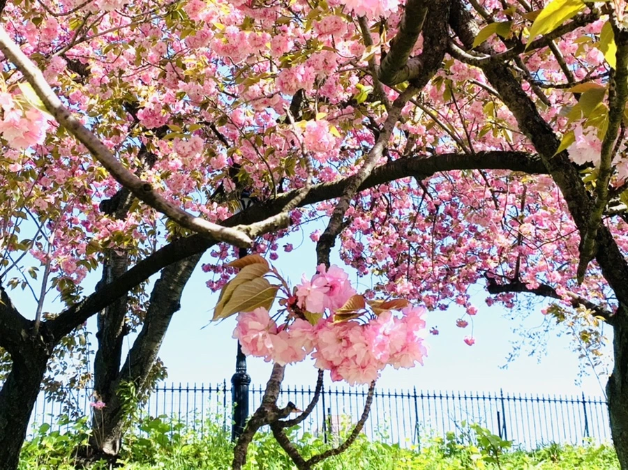 IMG_5849.jpg?type=w966