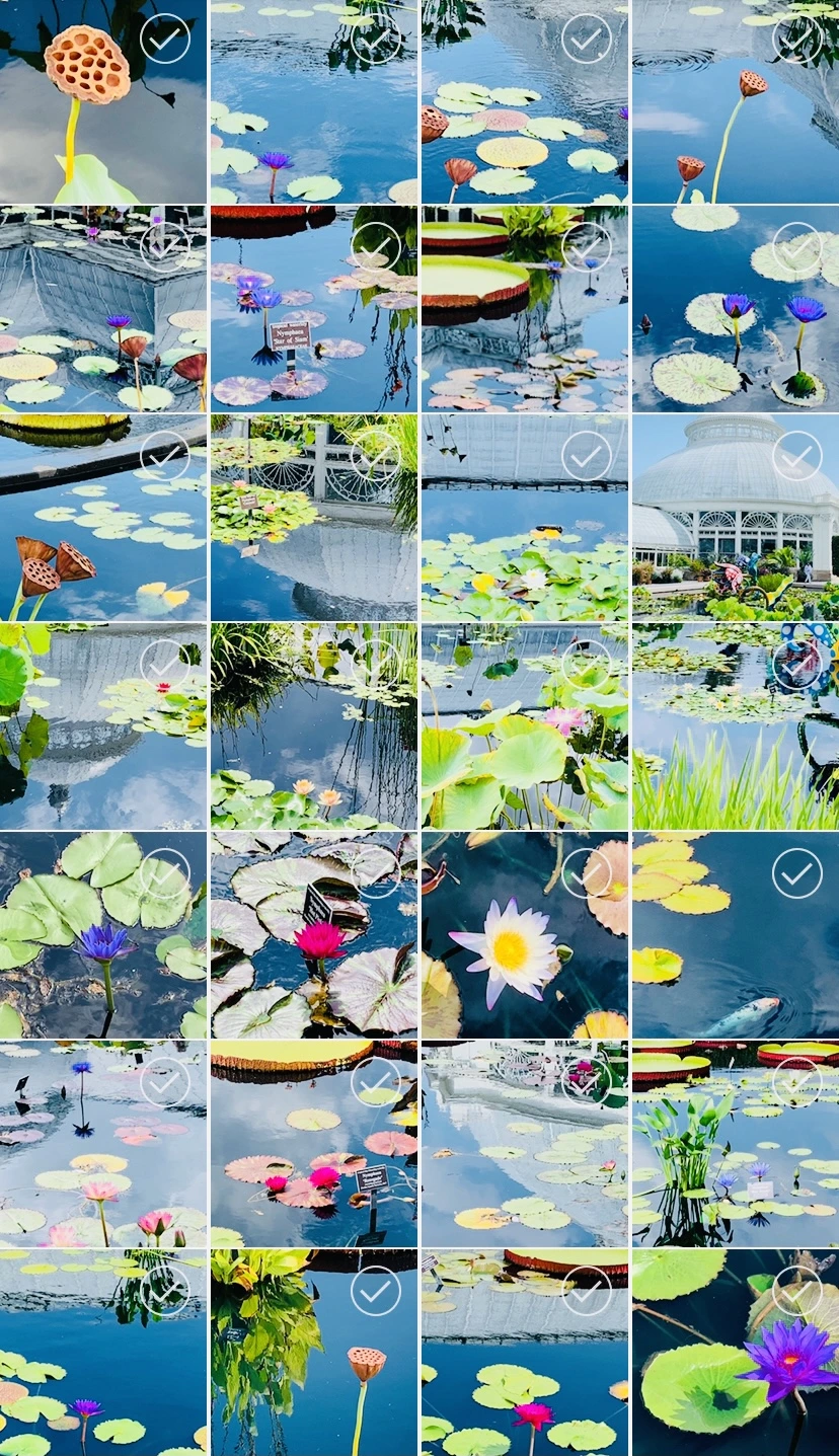 IMG_1178.jpg?type=w966