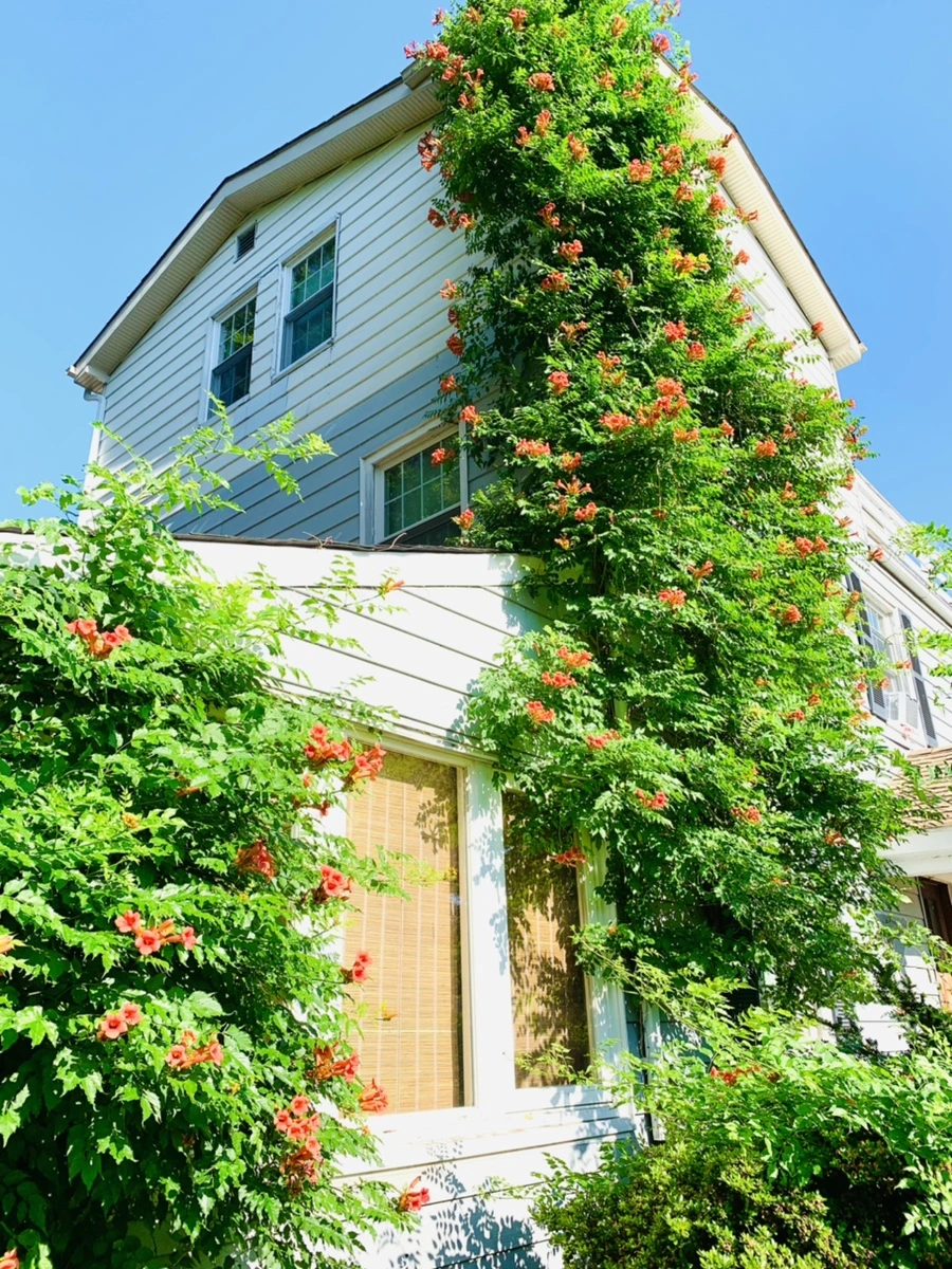 IMG_8702.jpg?type=w966