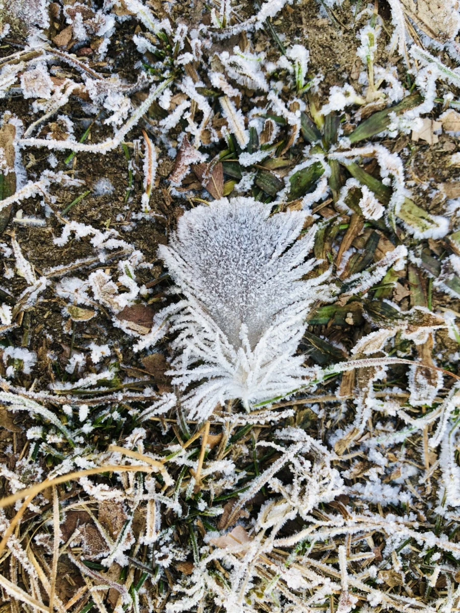 IMG_2213.jpg?type=w966