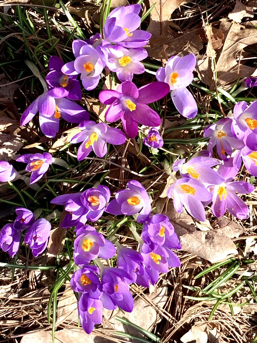 IMG_9649.jpg?type=w966