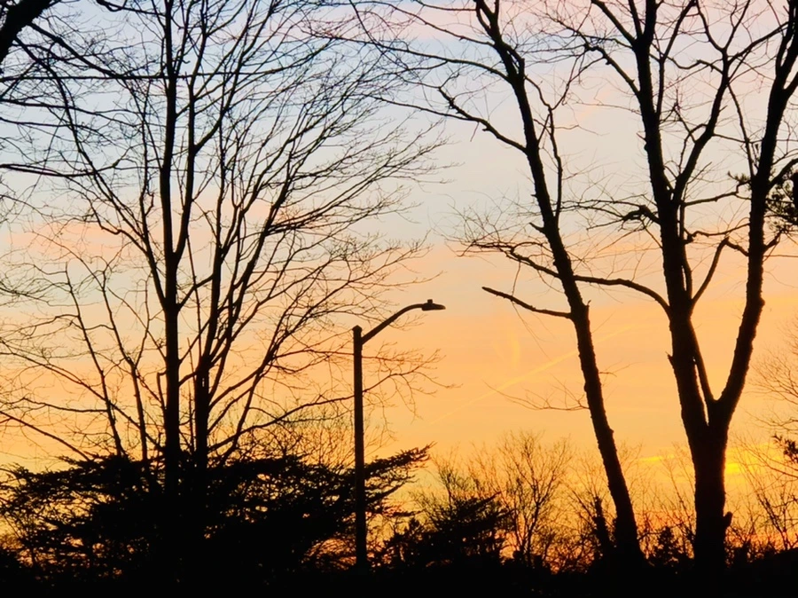 IMG_3291.jpg?type=w966