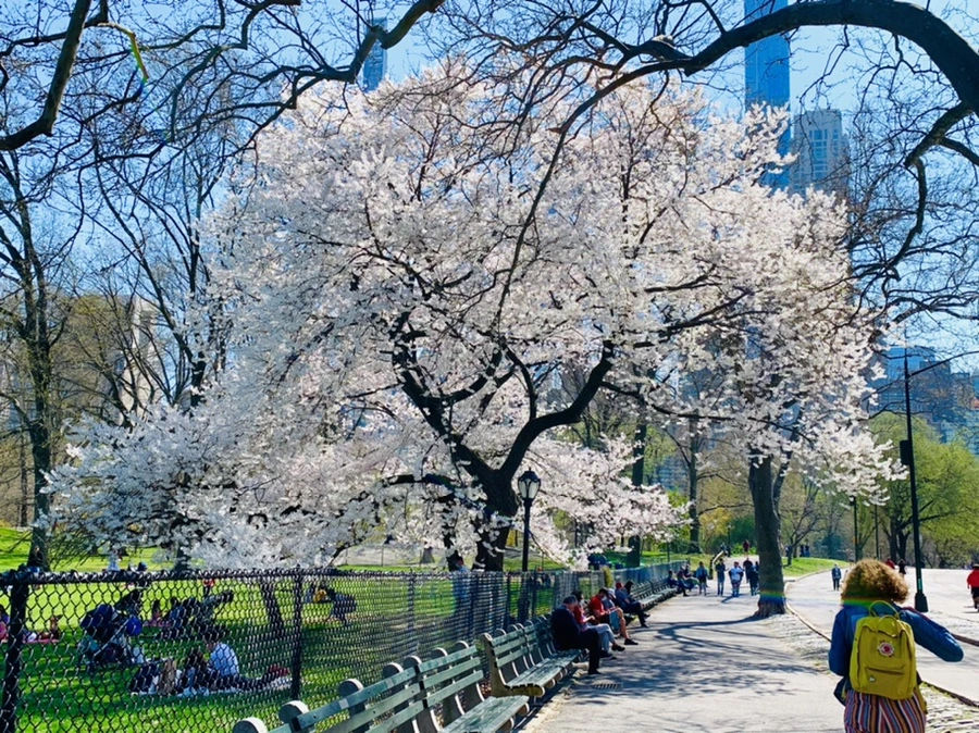 IMG_9018.jpg?type=w966