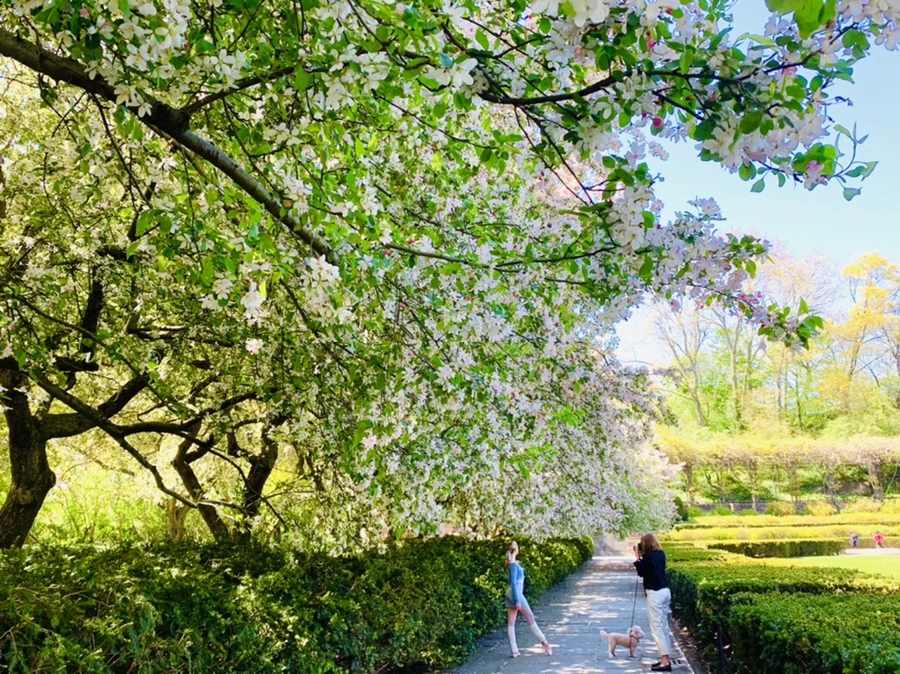 IMG_5757.jpg?type=w966