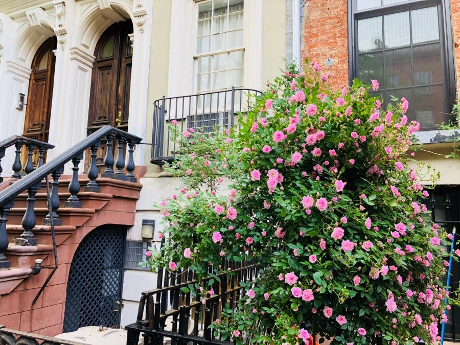 IMG_6257.jpg?type=w966