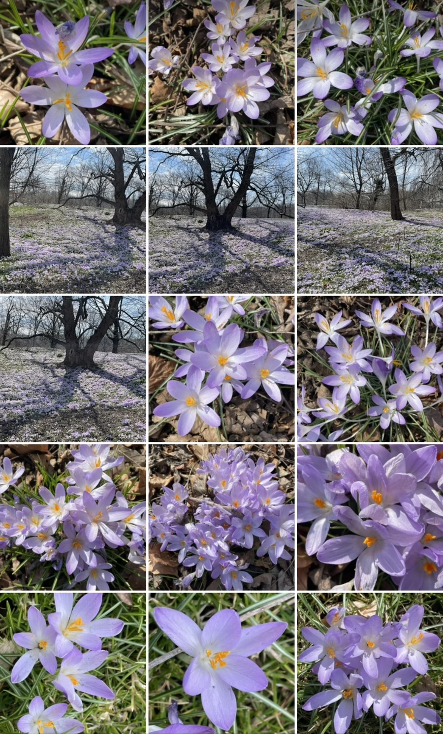 IMG_5406.jpg?type=w966