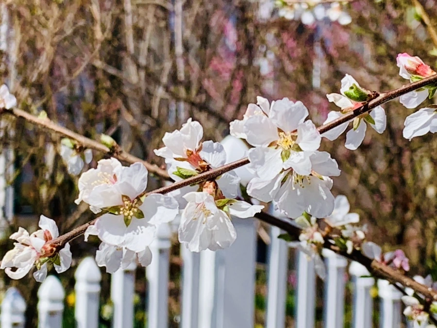 IMG_7642.jpg?type=w966