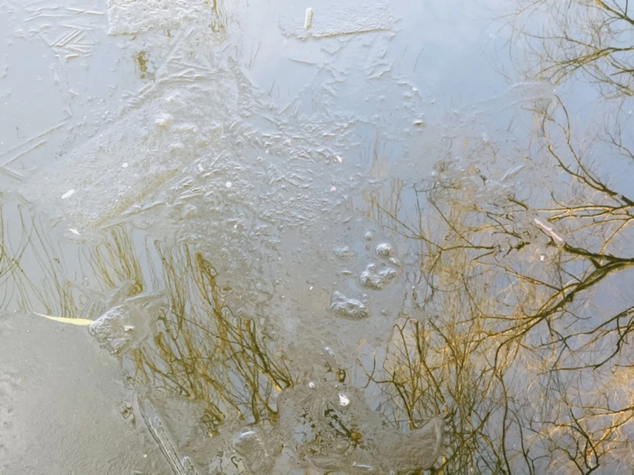 IMG_2544.jpg?type=w966