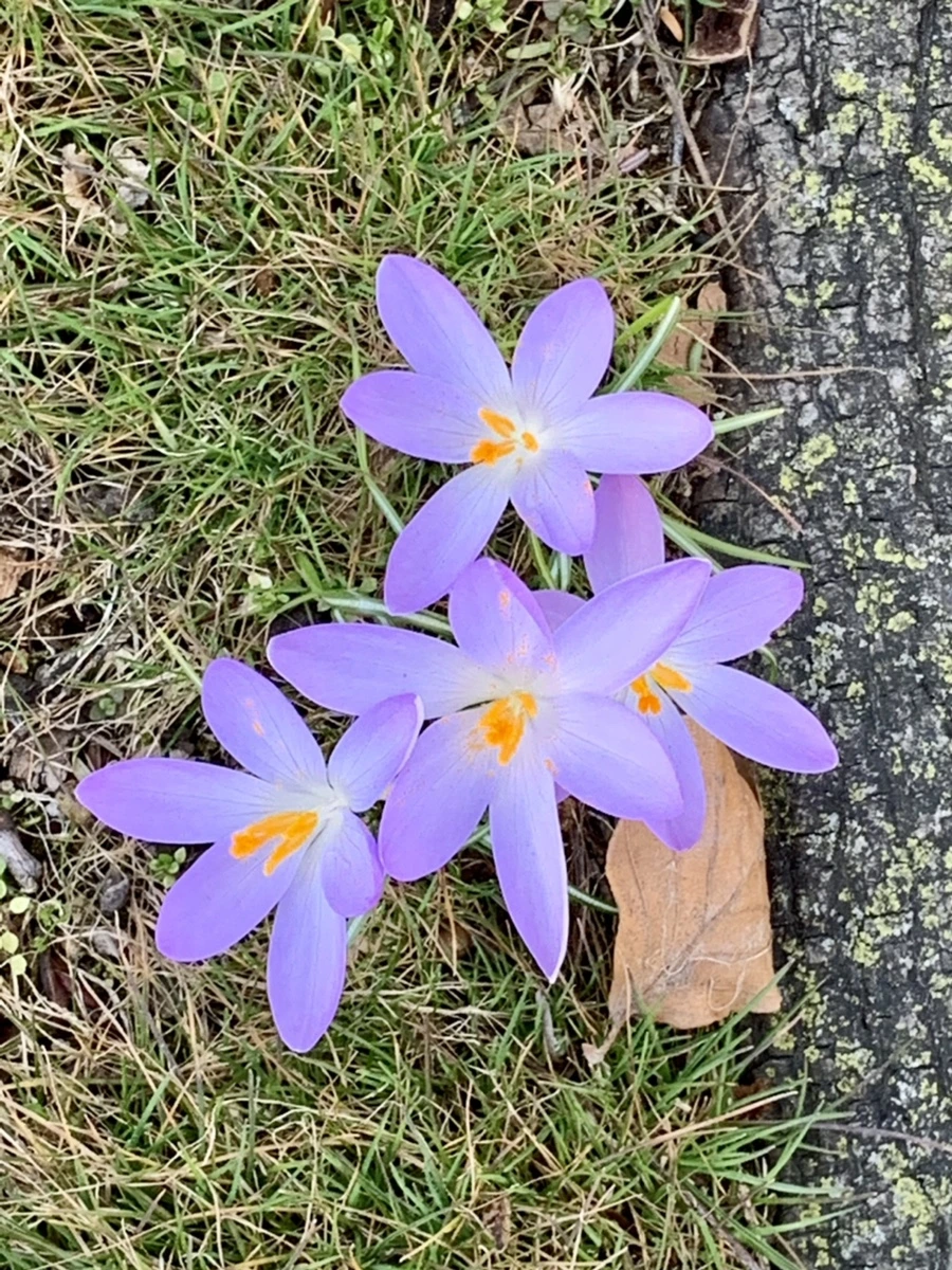 IMG_9213.jpg?type=w966