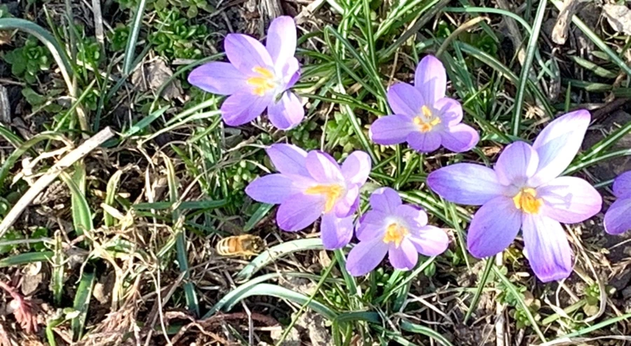 IMG_0223.jpg?type=w966