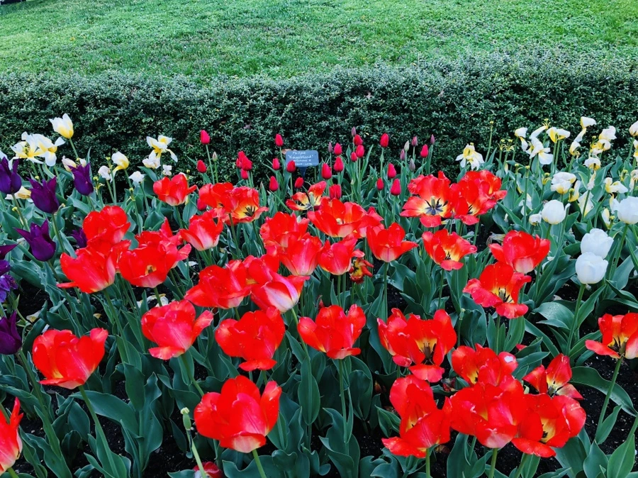 IMG_3750.jpg?type=w966