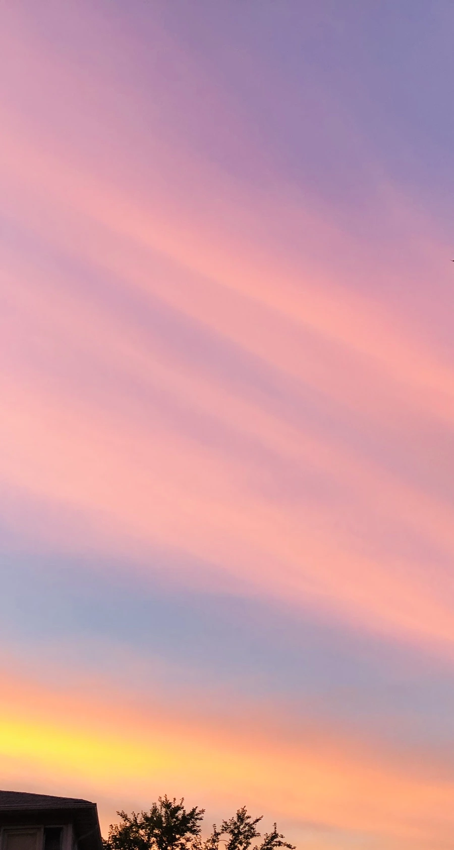 IMG_4569.jpg?type=w966