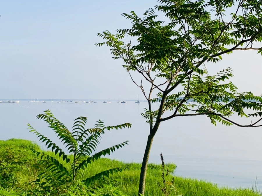 IMG_6471.jpg?type=w966